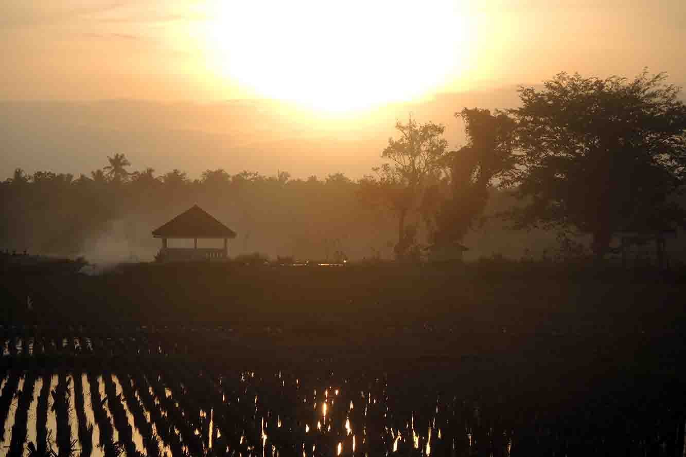 Rp5.8 Trillion in Village Funds Allocated for Bumdes in 2015-2022. (Foto: MNC Media)