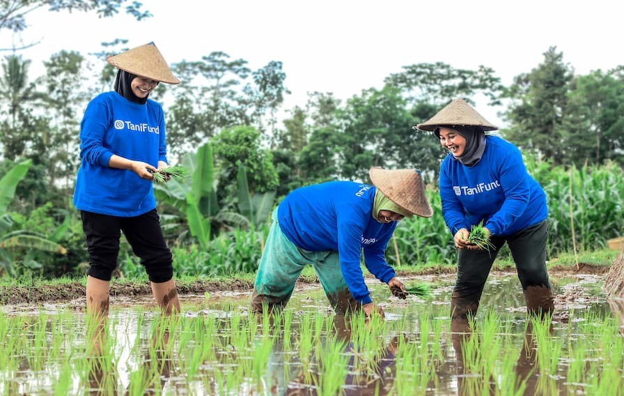 Kasus Gagal Bayar TaniFund, Alarm buat Ekosistem Industri Fintech RI. (Foto: TaniFund)