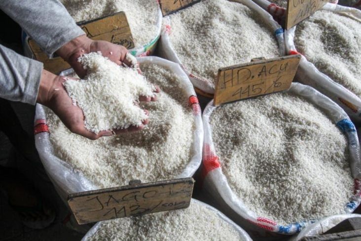 Indonesia to Import 500 Thousand Tons of Rice. (Foto: MNC Media)