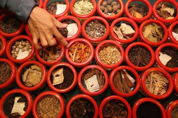 Nyontek Korsel, Indonesia Berencana Kembangkan Obat Herbal (Foto: MNC Media)