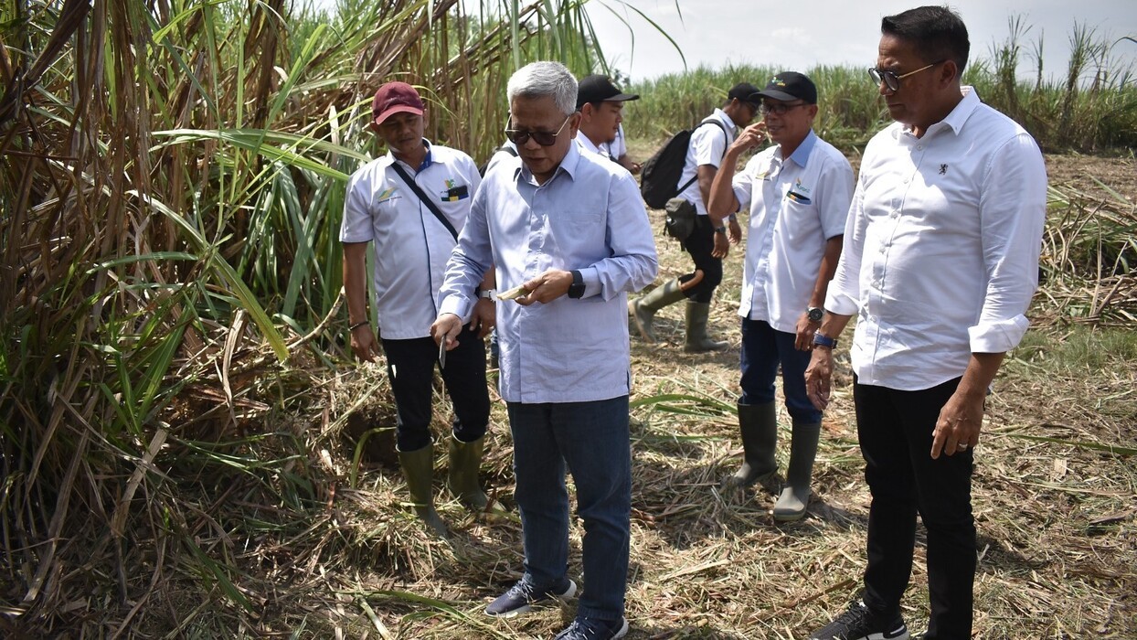 Holding Perkebunan Dorong PTPN Kejar Produksi 40 Ribu Ton Gula di 2023 (foto: MNC Media)