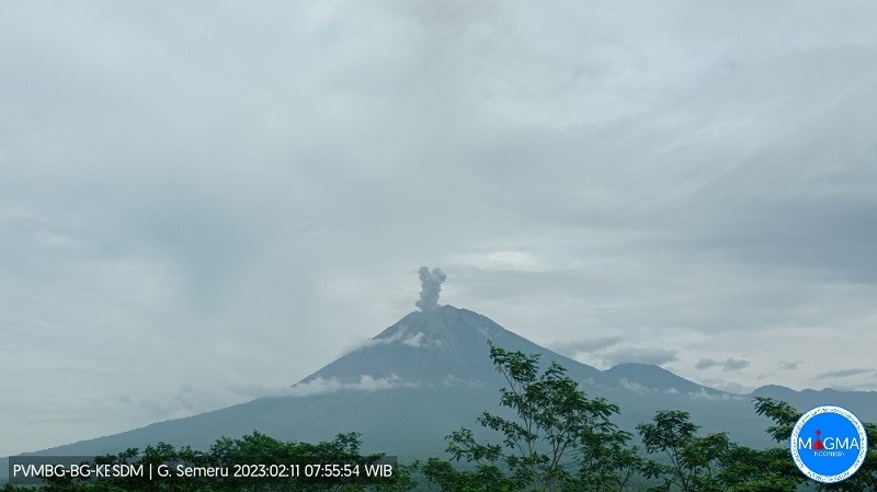 Gunung Semeru Erupsi Lagi, Tinggi Kolom Abu Capai 600 Meter. (Foto: Badan Geologi)