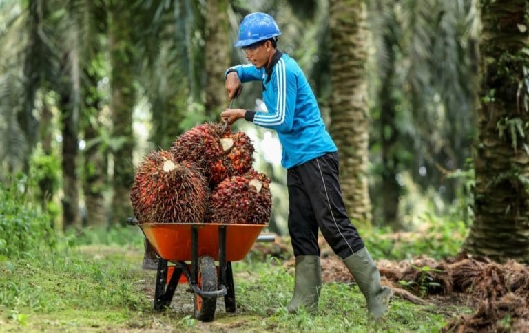 Tiga Direktur Astra Agro Lestari (AALI) Ramai-Ramai Resign, Ada Apa? (Foto MNC Media)