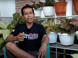 Kisah Inspiratif Peternak Sukses, Buruh Serabutan Kini Kantongi Rp35 Juta Modal Nekat dan KUR. (Foto: Youtube/Indra Palupi Channel)