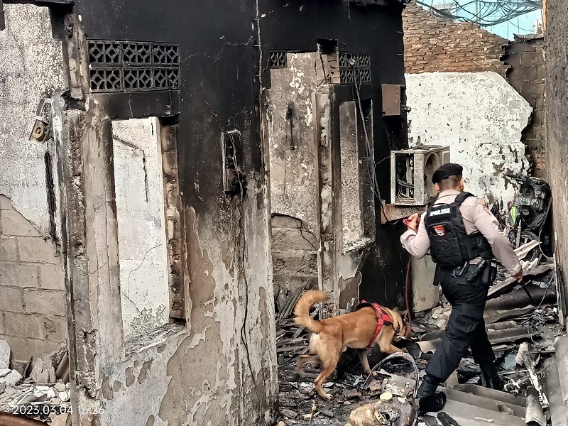 Anjing K9 Diterjunkan Cari Korban Kebakaran Maut Depo Plumpang. (Foto: Carlos Roy/MPI).