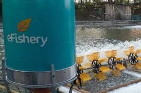 Bareskrim Sebut Mantan CEO eFishery Gelapkan Uang Investor Rp15 Miliar. (Foto Istimewa)