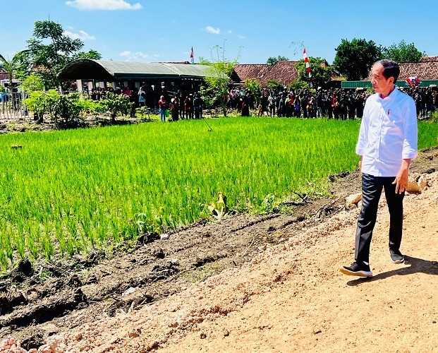 Jokowi Sebut SK Perhutanan Sosial Beri Kepastian Masyarakat Garap Lahan Produktif. (Biro Pers Setpres)