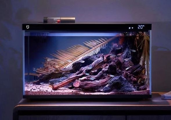Apa Itu Filosofi ‘Hiduplah Seperti Ikan di Akuarium’, Ini Interpretasinya. (Foto: Istimewa)