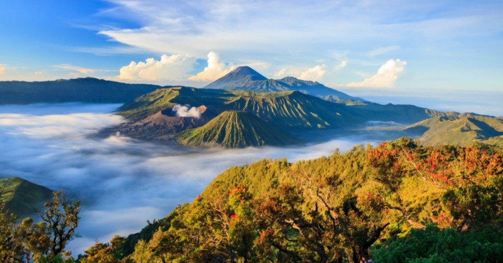 Buruan! Kejar Diskon Pesawat serta Tur dan Aktivitas dari Mister Aladin (FOTO:MNC Media)