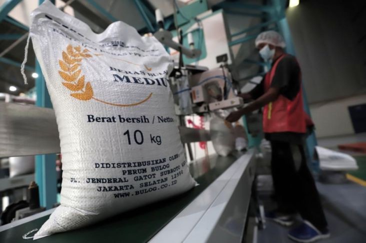 Ditugasi Impor 2 Juta Ton Beras, Bulog Bidik 5 Negara Mitra (Foto: MNC Media)