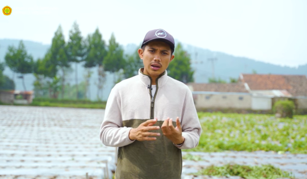 Petani Milenial Andalkan Selada Romaine: Sekali Panen Ratusan Kilo, Cuan Puluhan Juta. (Foto: MNC Media)