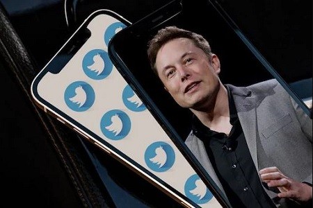 Tiga Akun Twitter Ini Dapat Centang Biru Gratis dari Elon Musk, Siapa Saja? (Foto: Okezone/ Shutterstock)