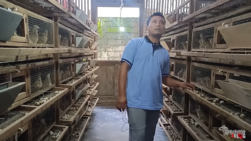 Bisnis Menjanjikan, Peternak Burung Puyuh ini Berhasil Panen 150 kg Telur per Hari. (Foto: Youtube/Ronarene Vlog)