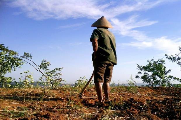 PLN Sebut Fenomena El Nino Ganggu Penyediaan Batu Bara untuk Pembangkit Listrik (FOTO:MNC Media)