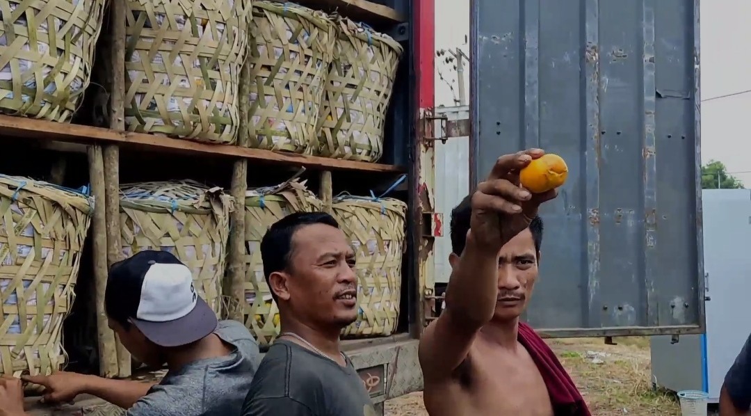 Puluhan Truk Sembako Tertahan di Bakauheni, Rugi Ratusan Juta (FOTO: MNC Media)