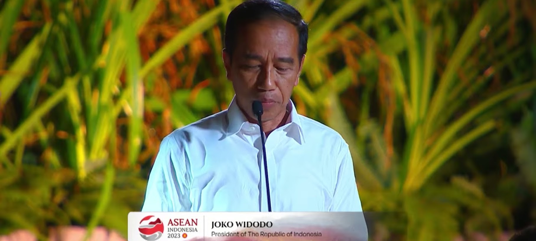 Hadiri Welcoming Dinner KTT ASEAN, Jokowi Pamerkan Keindahan Pulau Komodo. (Foto: Tangkapan Layar Youtube Sekretariat Presiden)