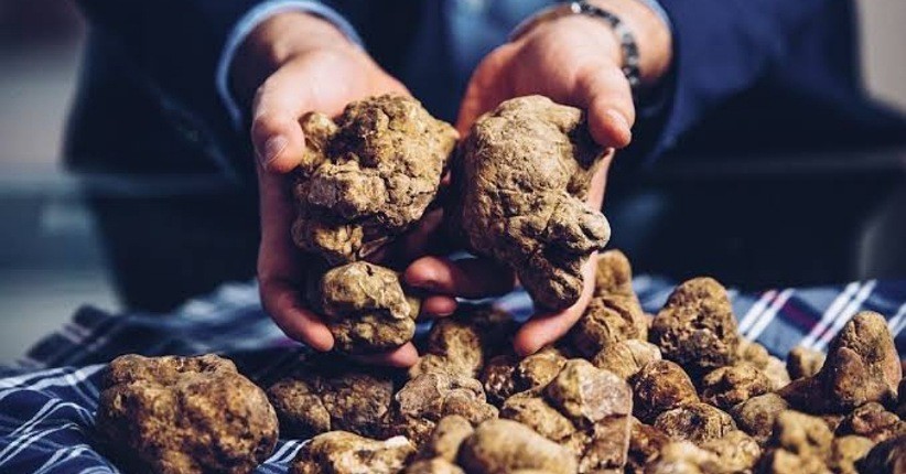 10 Jenis Makanan Paling Mahal di Dunia, Ada yang Tembus Rp2 M. (Foto: MNC Media)