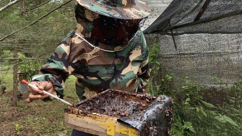 Reklamasi Lahan Pasca Tambang, Ini yang Dilakukan Semen Baturaja (SMBR) (foto: MNC Media)