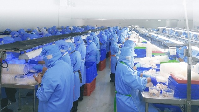 Penjualan Seafood Morenzo (ENZO) Turun Drastis di Kuartal I-2023, Ini Penyebabnya (Foto: MNC Media)