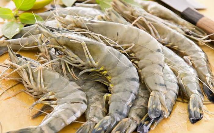 Sulap Limbah Kulit Udang jadi Bahan Pengawet, Warga Medan Raup Rp5,6 Juta per Bulan (FOTO:MNC Media)