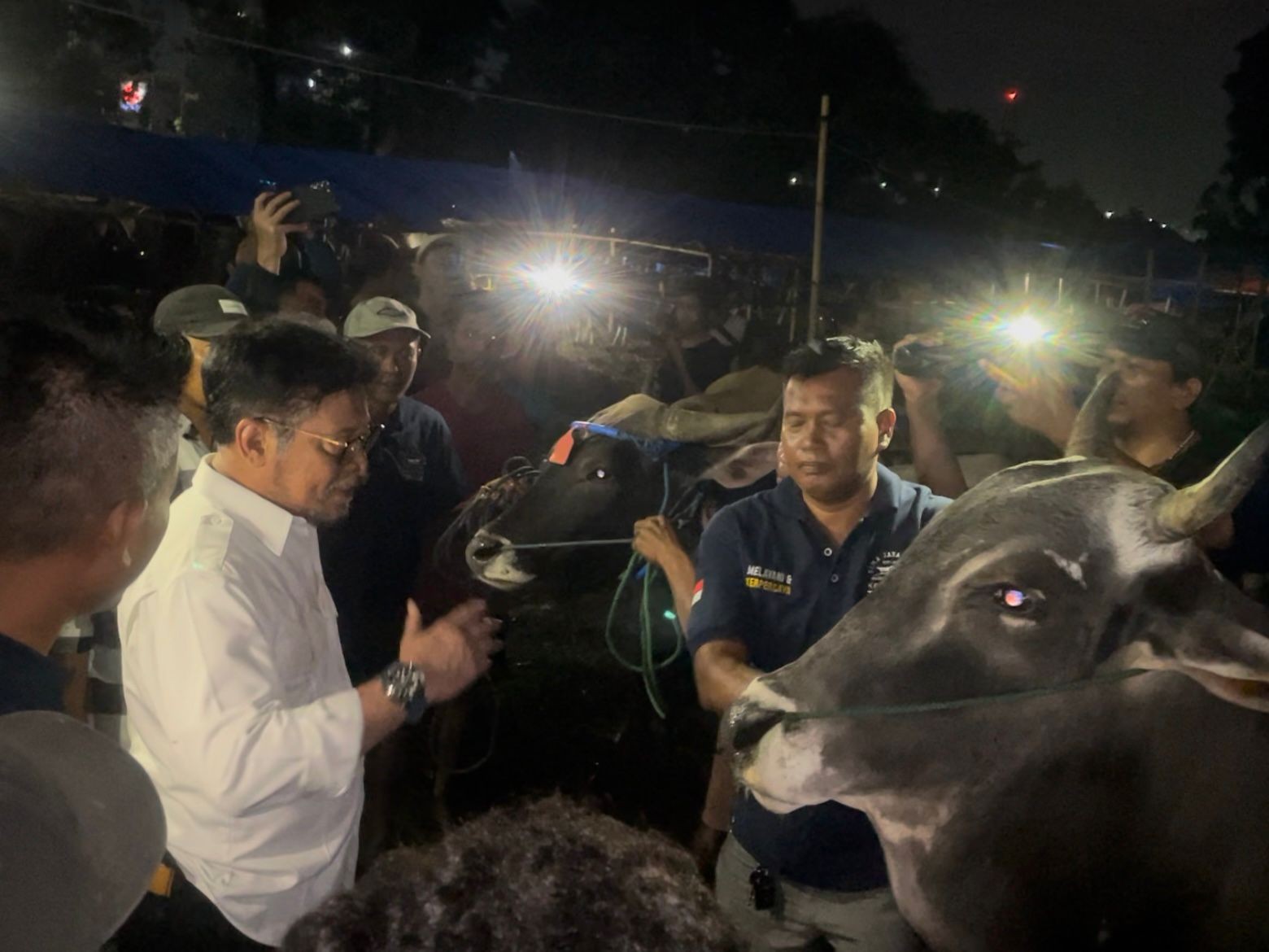 Jelang Idul Adha, Pemerintah Pastikan Stok Hewan Kurban Cukup (foto: MNC Media)