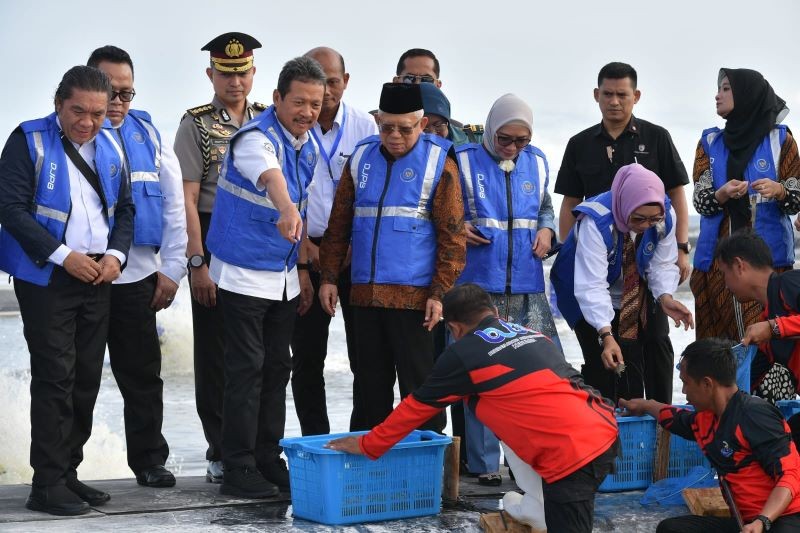 Wapres dan Menteri KKP Panen 249 Ton Udang di Tambak Modern Terbesar di RI. (Foto: MNC Media)