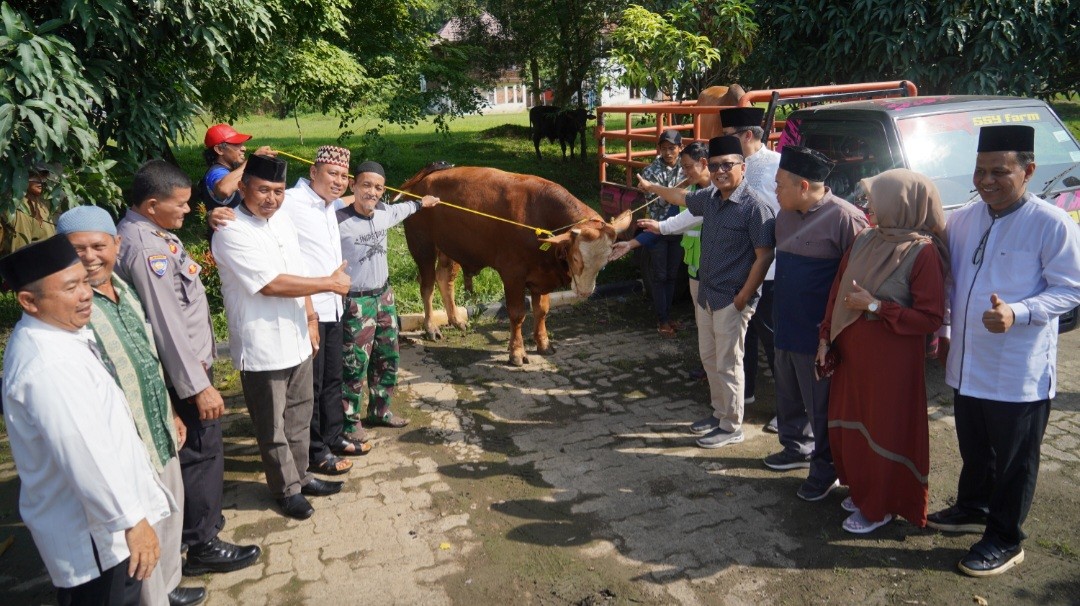Bukit Asam (PTBA) Salurkan 201 Hewan Kurban saat Idul Adha 2023 (FOTO:Dok PTBA)