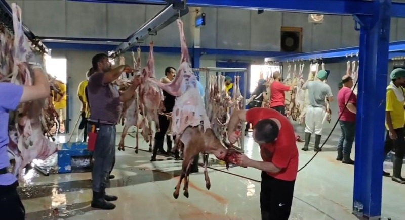 Daging hewan kurban serta dam jamaah haji Indonesia akan dikirim dalam bentuk makanan siap saji.  Foto: Dokumen Kemenag