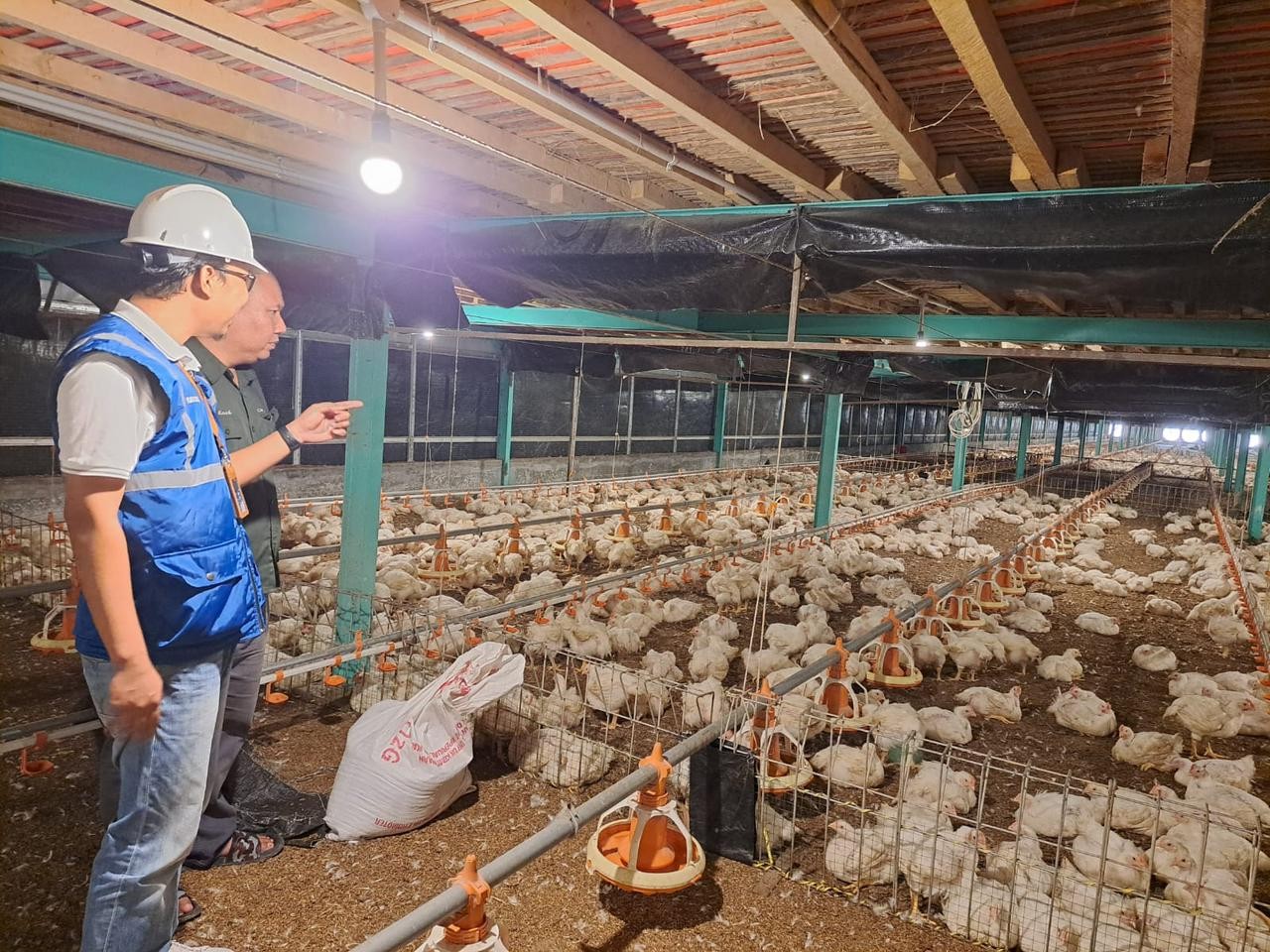 Program Electrifying Agriculture PLN Tumbuh 22,28 Persen, NTT Paling Massif (foto: MNC Media)