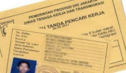 Kenali Cara dan Syarat Membuat Kartu Kuning 2023. (FOTO : MNC MEDIA)