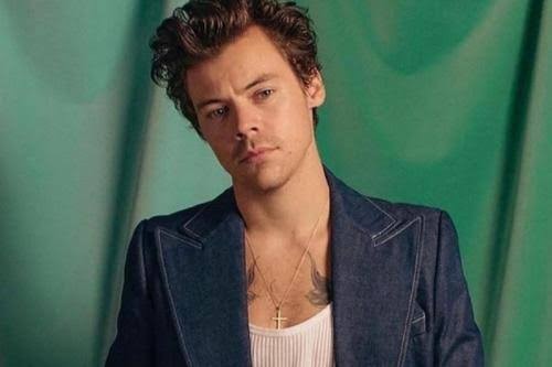 Harry Styles Sumbang Uang Hasil Tour Rp98 Miliar untuk Amal (FOTO:MNC Media)
