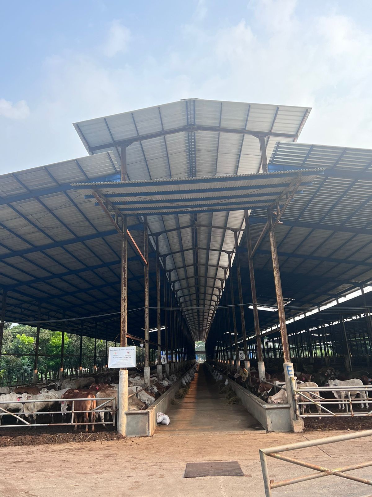 Estika Tata (BEEF) Raup Penjualan Rp301 Miliar di Semester I-2023, Ini Pendorongnya (FOTO:Dok Ist)