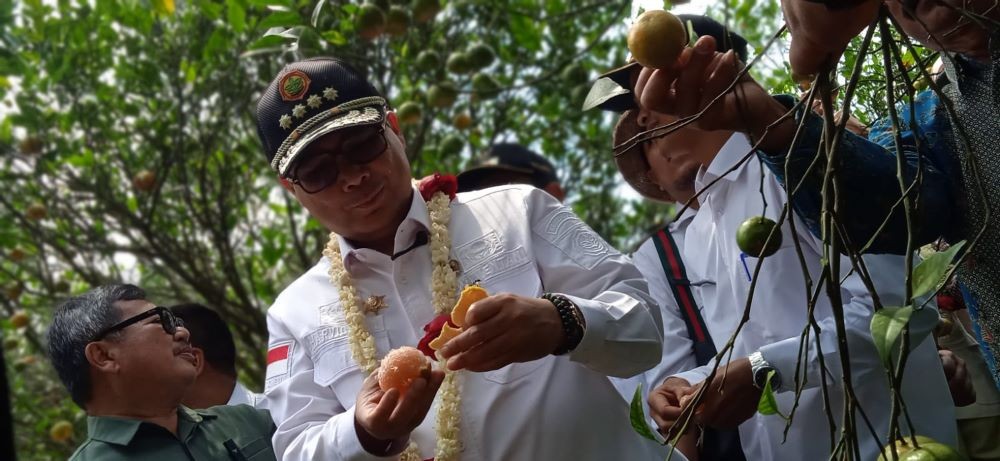 Promosikan Pertanian Daerah, Wamentan Mau Bawa Jeruk Garut ke Istana Presiden. Foto: MNC Media.