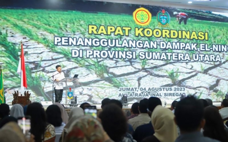 Menteri Pertanian, Syahrul Yasin Limpo (YSL) (Wahyudi Aulia Siregar/MPI)