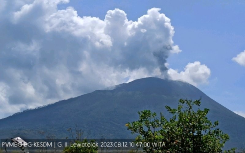 Gunung Ili Lewotolok di Lembata Nusa Tenggara Timur (NTT) erupsi pada Sabtu (12/8/2023).