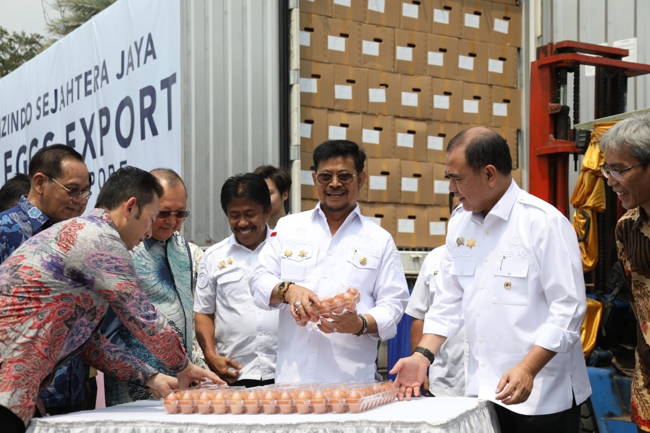 RI Raih Kontrak Ekspor Telur ke Singapura Senilai Rp19,4 Miliar hingga Akhir 2023. (Foto MNC Media)
