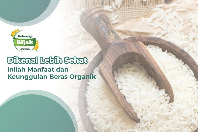Dikenal Lebih Sehat, Cek Manfaat dan Keunggulan Beras Organik (Foto: MNC Media)