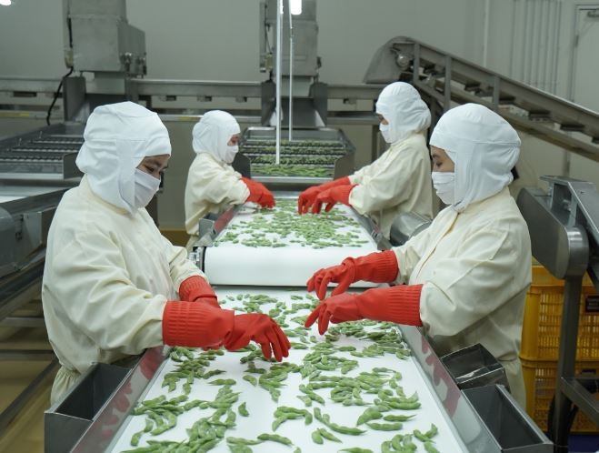 Ekspansi Bisnis ke India, Austindo (ANJT) Ekspor Edamame Premium (Foto: MNC Media)