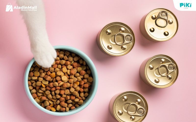 Tips Beri Makanan Bernutrisi untuk Anjing dan Kucing