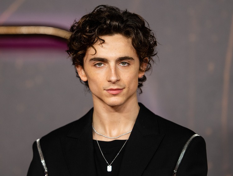 Harta Kekayaan Timothee Chalamet: Diperkirakan Rp383 Miliar, Digaji USD9 Juta dari ‘Wonka’ (Foto: IMdb)