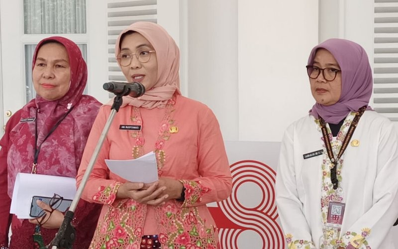 Juru Bicara Satgas Pengendalian Pencemaran Udara Provinsi DKI Jakarta Ani Ruspitawati (Carlos Roy Fajarta/MPI)