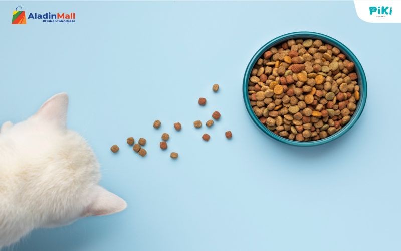 Pet Lovers, Ketahui Yuk Empat Jenis Makanan Sehat untuk Hewan Peliharaan. Foto: MNC Media