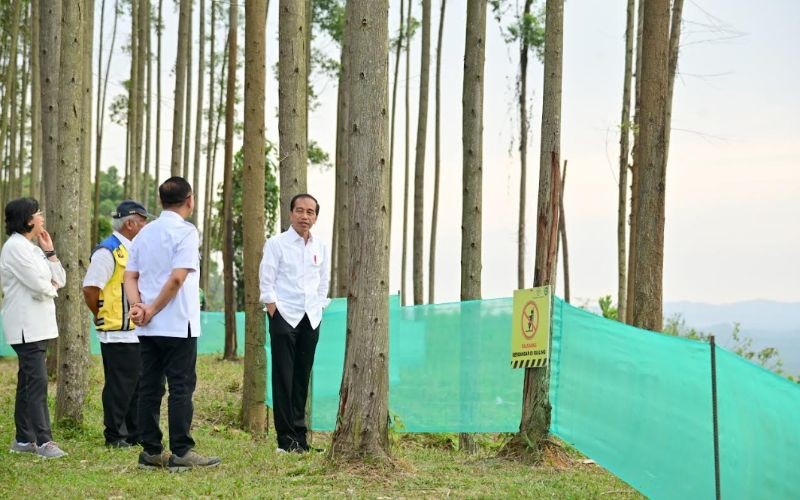Keamanan Siber Disiapkan Pemerintah untuk IKN, Target SDM Capai 39 Ribu Orang. (Foto: MNC Media)