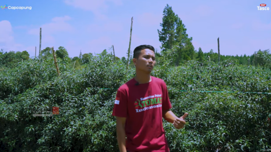 Kisah Sukses Petani Muda: Usia 23 tahun Mampu Beli Lahan, Manfaatkan TikTok untuk Jual Bibit. (Foto: YouTube/Cap Capung)