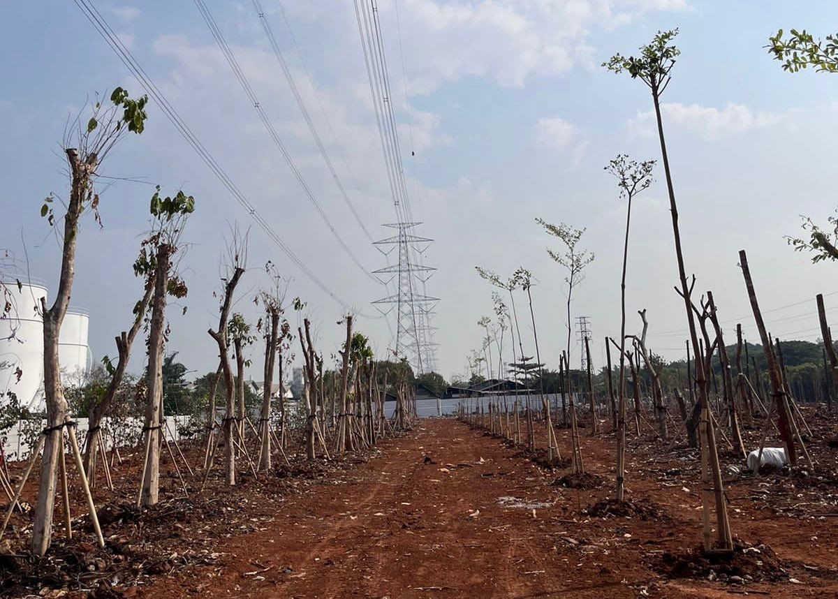 Jakarta Estate (JIEP) Berhasil Kembalikan Fungsi Hutan Kota di Kawasan Industri Pulogadung (FOTO:Dok Ist)