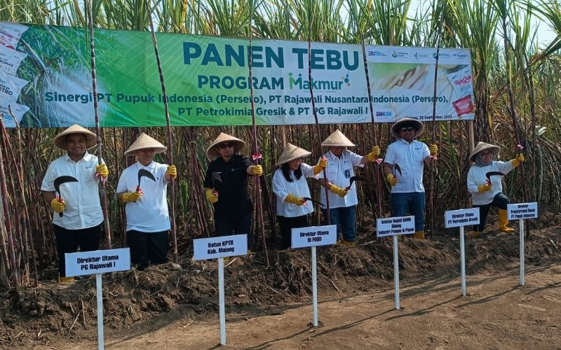 ejumlah inovasi membuat panen petani tebu di Kabupaten Malang, Provinsi Jawa Timur, meningkat. Peningkatan tercatat di angka 9,4 persen. (Aviristra M/MPI)
