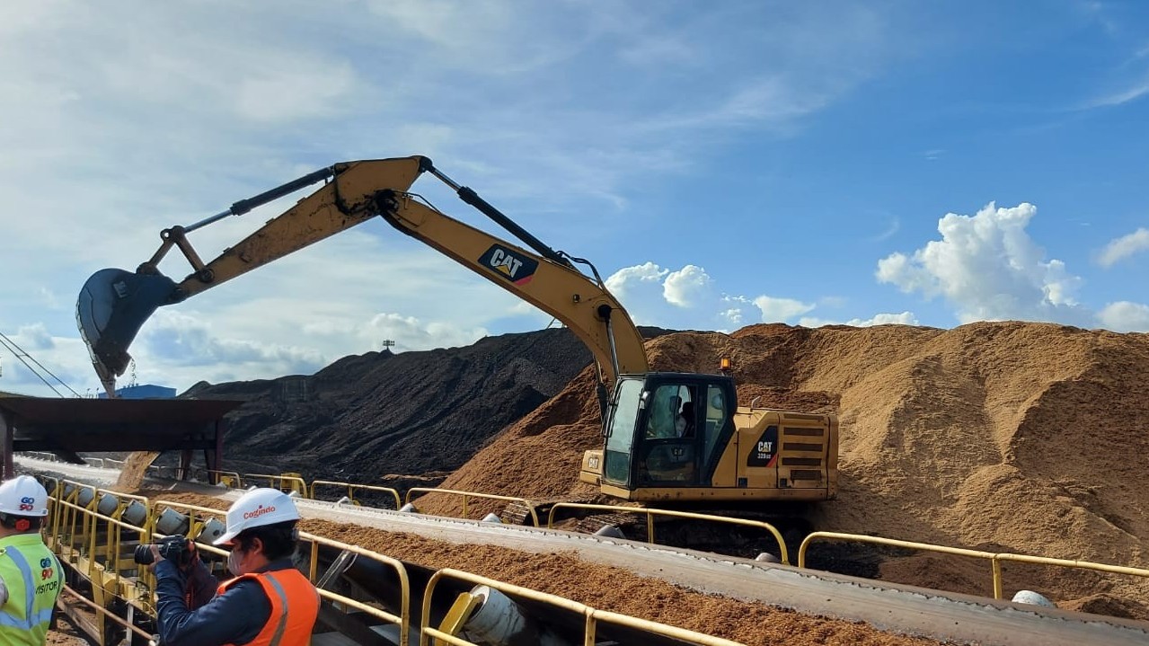 Pengembangan Biomassa Buka Lapangan Kerja dan Jadi Ceruk Ekonomi Baru. (Foto MNC Media)