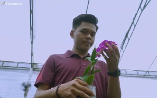 Kisah Sukses Pengusaha Muda Bertani Anggrek, Raup Omzet Rp20 Juta per Bulan. (Foto: YouTube/Cap Capung)