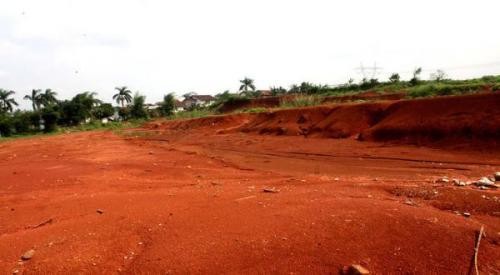Tips Membeli Tanah untuk Investasi, Termasuk Soal Harga dan Lokasi. (Foto: MNC Media)
