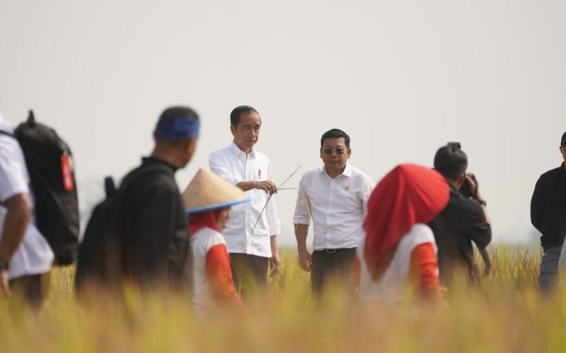 Panen raya di Subang, diharapkan dapat mendorong penguatan produksi pangan nasional. (